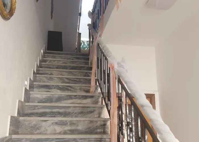 Daniela B&B